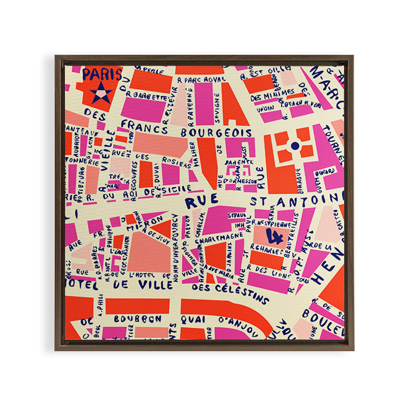 paris map pink Framed Canvas Print Gallery Image 18