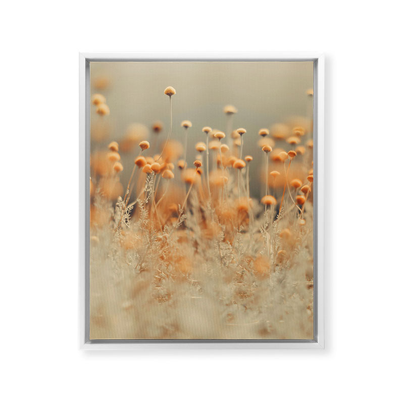 Mustard Yellow Flowers - Flower photography by Ingrid Beddoes Framed Canvas Print Gallery Image 21