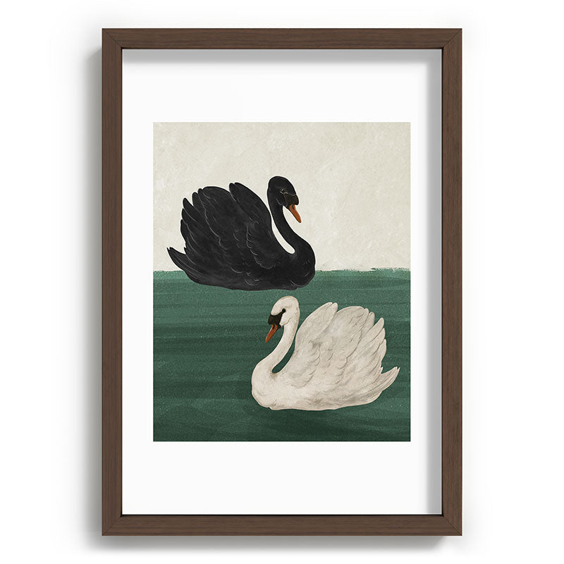 Black Swan White Swan Framed Art Print Gallery Image 38