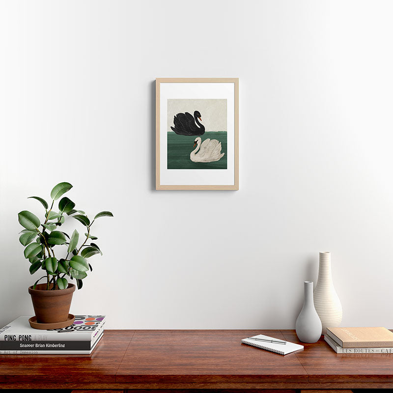 Black Swan White Swan Framed Art Print Gallery Image 10