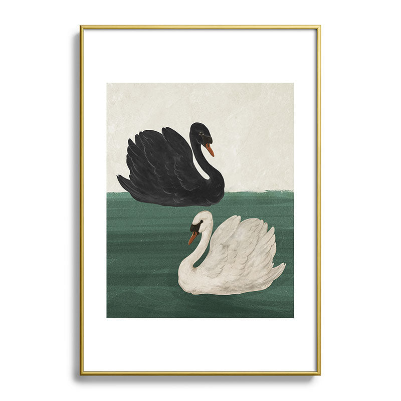Black Swan White Swan Framed Art Print Gallery Image 54