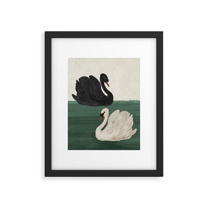 Black Swan White Swan Framed Art Print Gallery Image 2