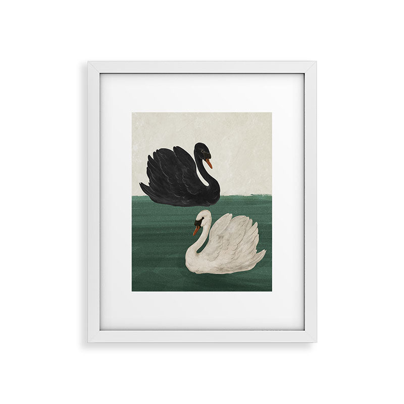 Black Swan White Swan Framed Art Print Gallery Image 14