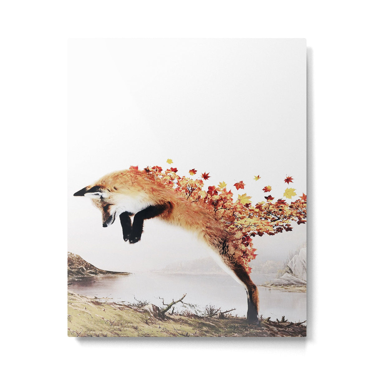 Autumn Fox Metal Print Gallery Image 1