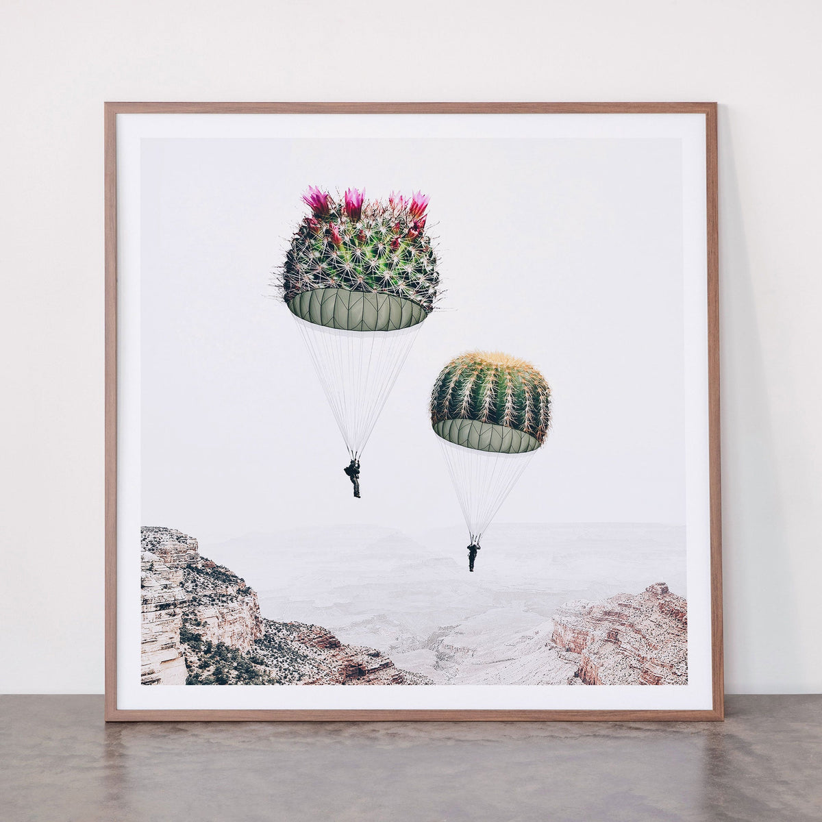 Flying Cacti Framed Art Print Gallery Image 21