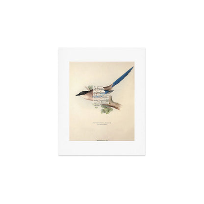 Bird Divinations: Azure Magpie (about: almanacofbirds.org) Art Print Gallery Image 1