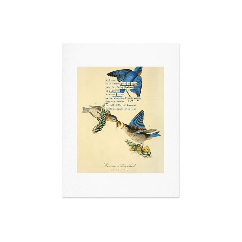 Bird Divinations: Blue Bird (about: almanacofbirds.org) Art Print Gallery Image 6
