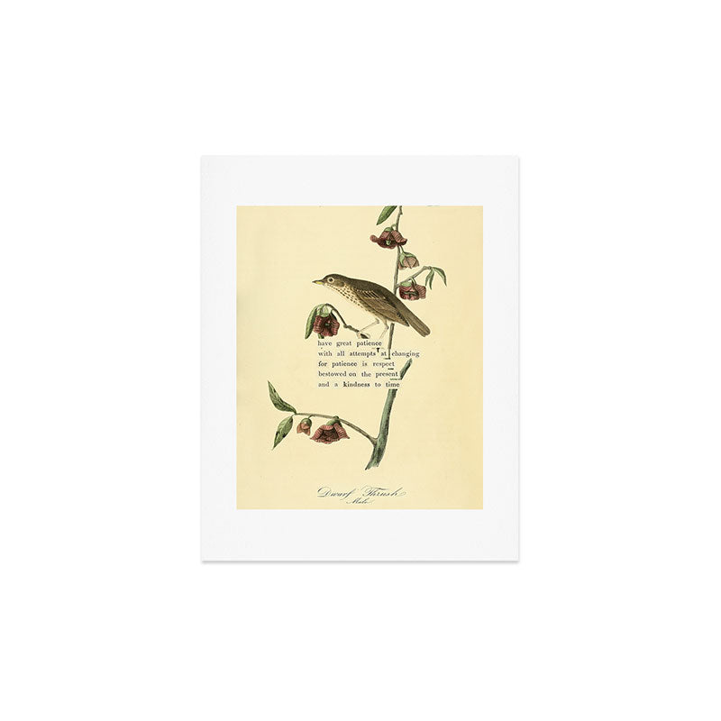 Bird Divinations: Dwarf Thrush (about: almanacofbirds.org) Art Print Gallery Image 2