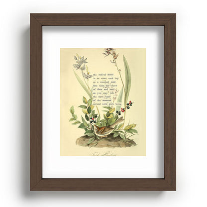Bird Divinations: Field Bunting (about: almanacofbirds.org) Framed Art Print Gallery Image 64