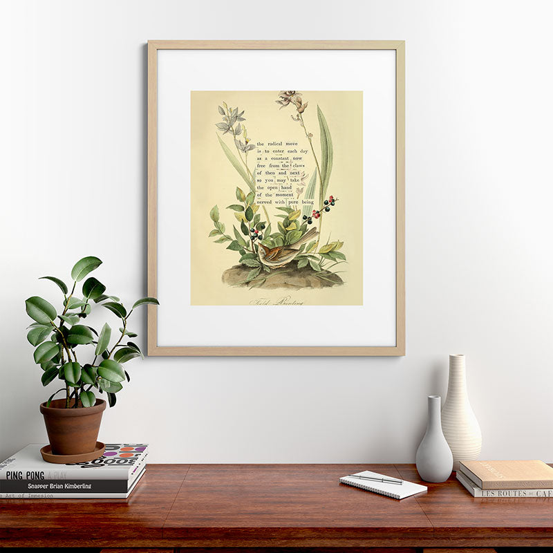 Bird Divinations: Field Bunting (about: almanacofbirds.org) Framed Art Print Gallery Image 49