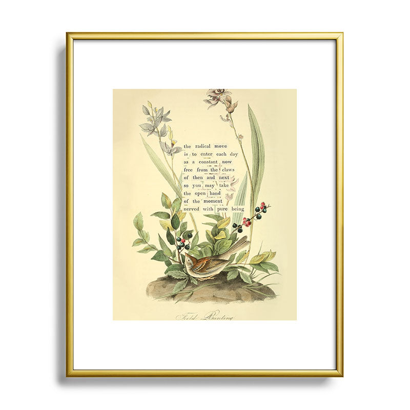 Bird Divinations: Field Bunting (about: almanacofbirds.org) Framed Art Print Gallery Image 88