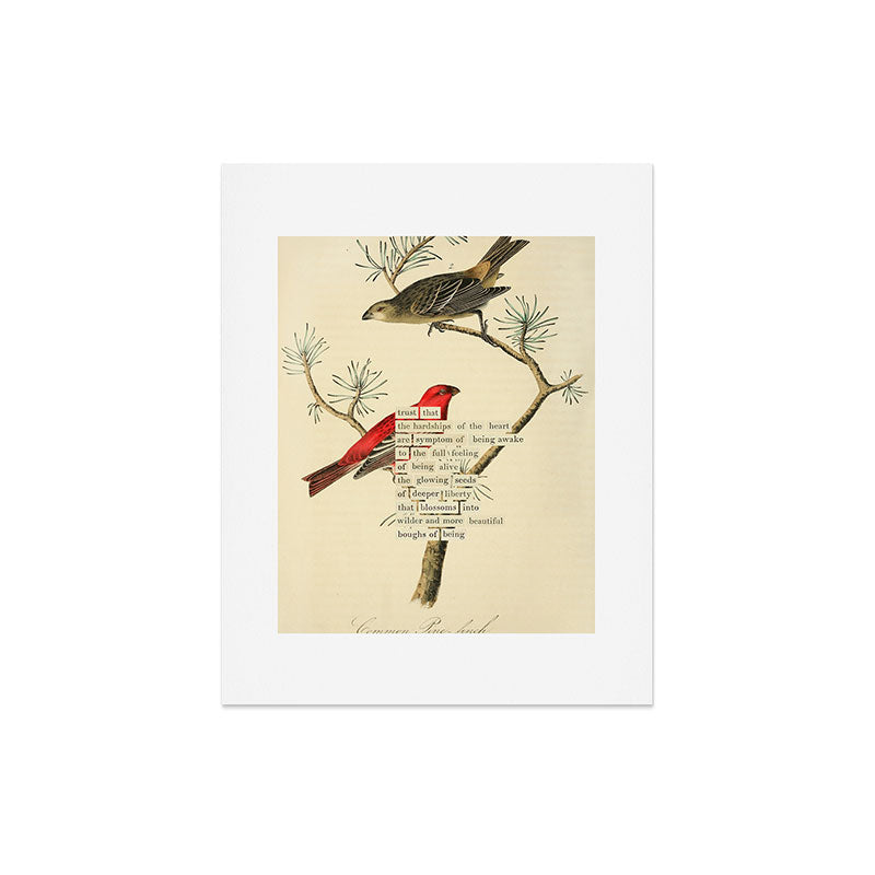 Bird Divinations: Pine Finch (about: almanacofbirds.org) Art Print Gallery Image 4