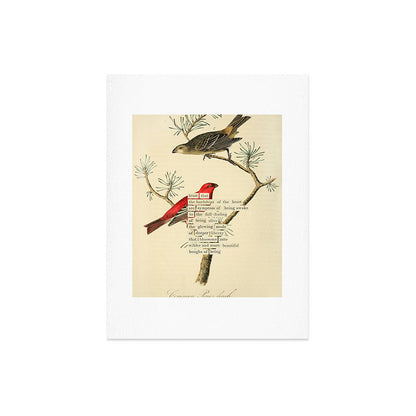 Bird Divinations: Pine Finch (about: almanacofbirds.org) Art Print Gallery Image 6
