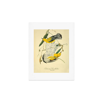 Bird Divinations: Prothonotary swamp warbler (about: almanacofbirds.org) Art Print Gallery Image 2