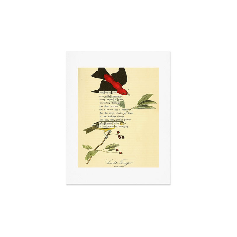 Bird Divinations: Scarlet Tanager (about: almanacofbirds.org) Art Print Gallery Image 2