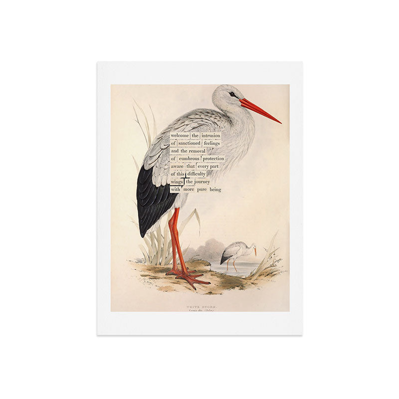 Bird Divinations: White Stork (about: almanacofbirds.org) Art Print Gallery Image 7