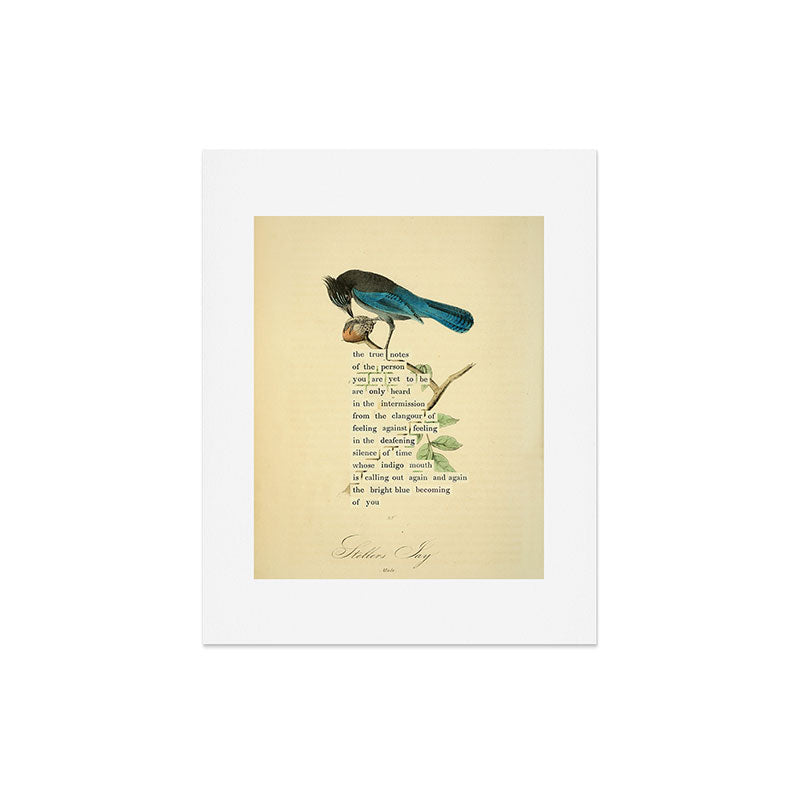 Stellers Jay Divination from # An Almanac of Birds # Divinations for Uncertain Days Art Print Gallery Image 5