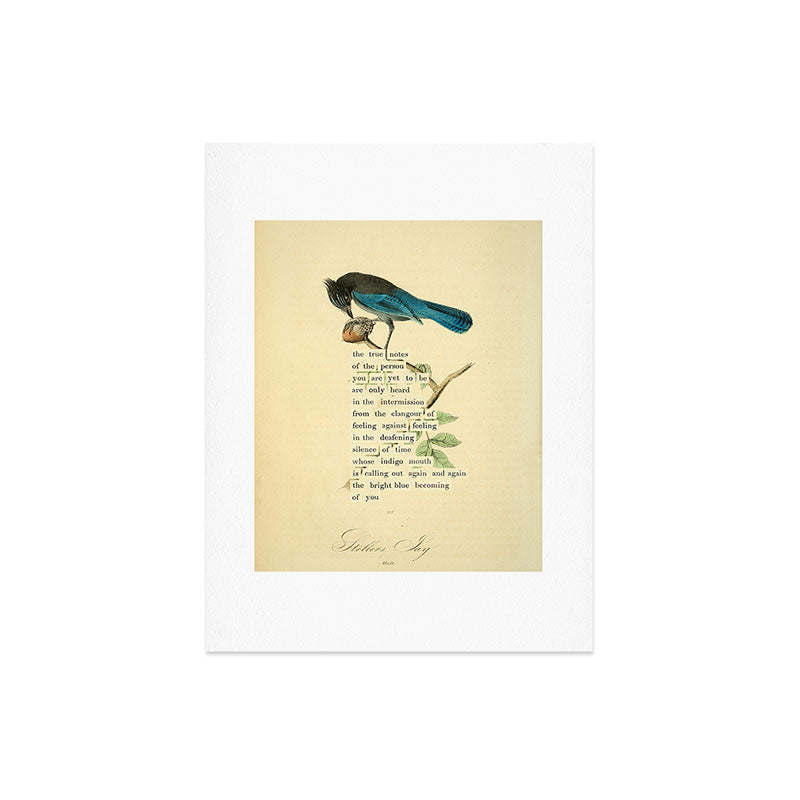 Stellers Jay Divination from # An Almanac of Birds # Divinations for Uncertain Days Art Print Gallery Image 6