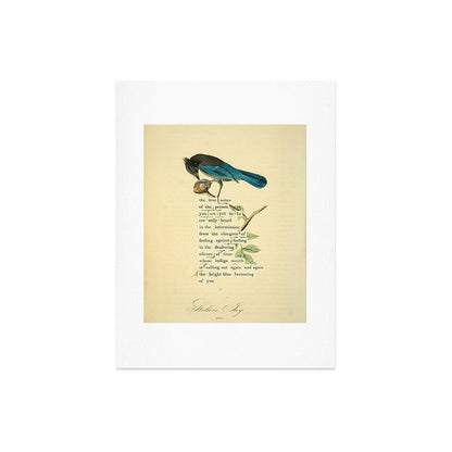 Stellers Jay Divination from # An Almanac of Birds # Divinations for Uncertain Days Art Print Gallery Image 6