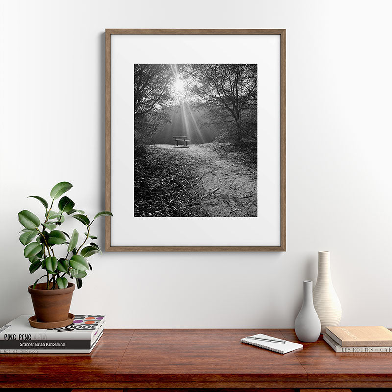 "Sunlit Solitude" by Maria Popova Framed Art Print Gallery Image 14