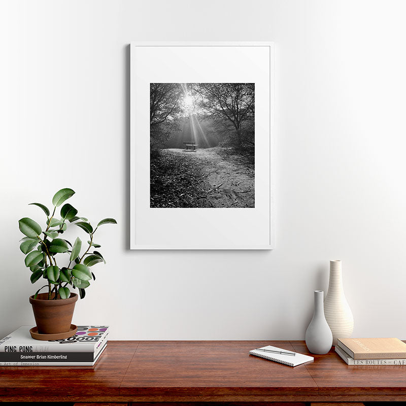 "Sunlit Solitude" by Maria Popova Framed Art Print Gallery Image 27