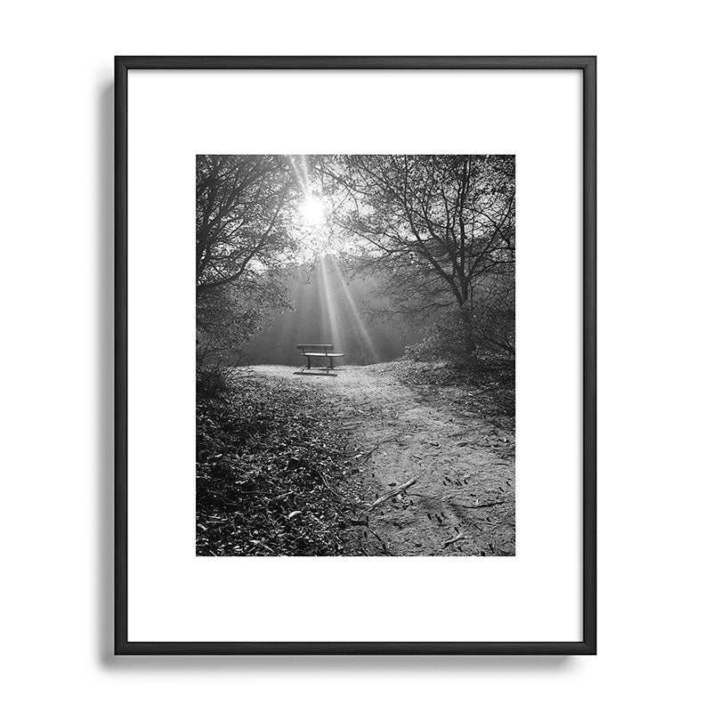 "Sunlit Solitude" by Maria Popova Framed Art Print Gallery Image 82