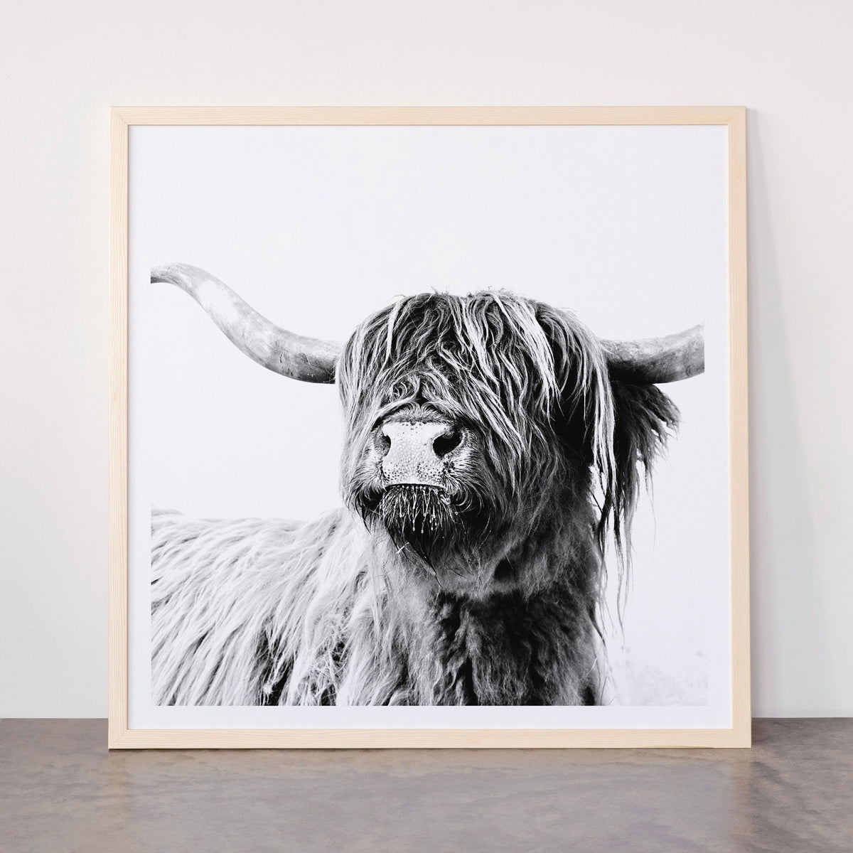 HIGHLAND CATTLE FRIDA Framed Art Print Gallery Image 77