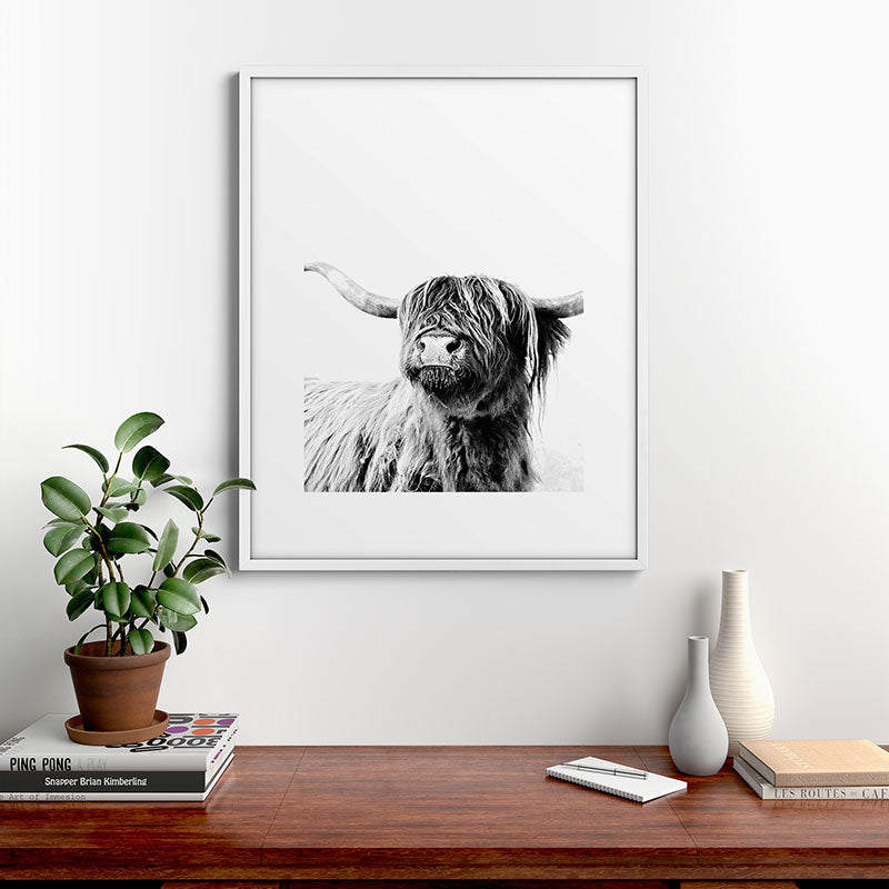 HIGHLAND CATTLE FRIDA Framed Art Print Gallery Image 39