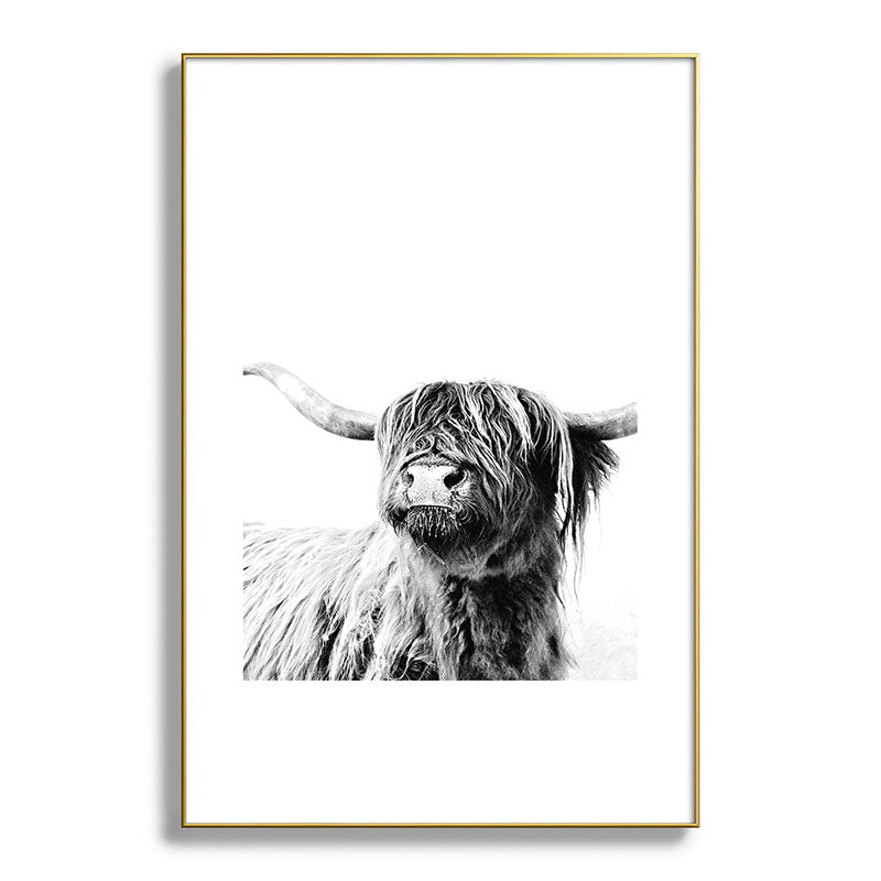 HIGHLAND CATTLE FRIDA Framed Art Print Gallery Image 127