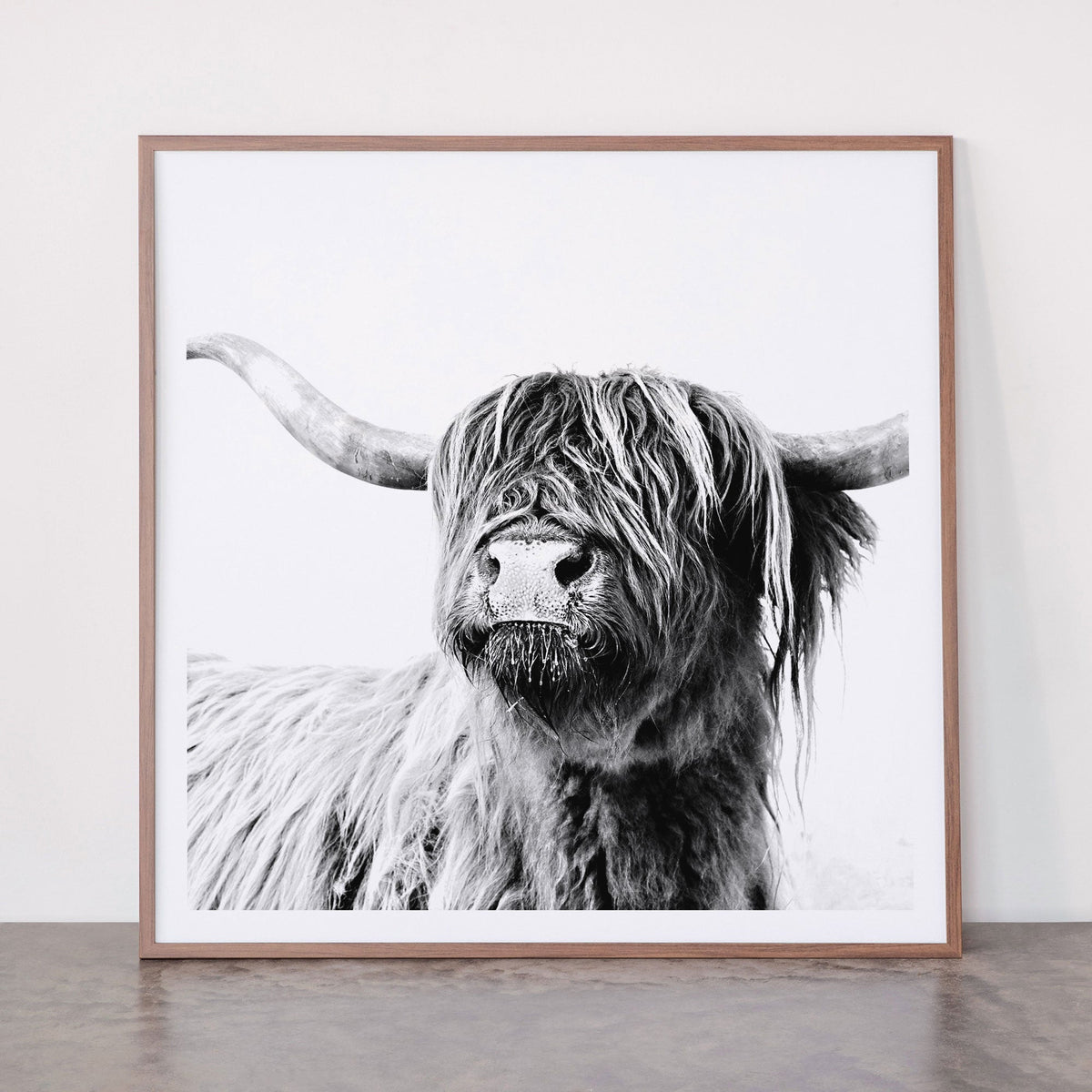 HIGHLAND CATTLE FRIDA Framed Art Print Gallery Image 21