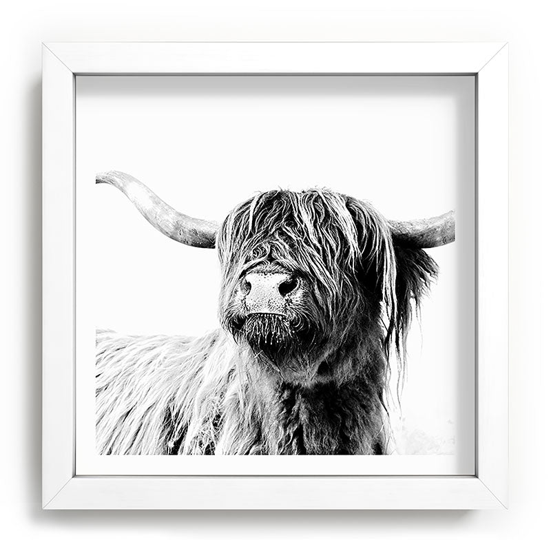 HIGHLAND CATTLE FRIDA Framed Art Print Gallery Image 114
