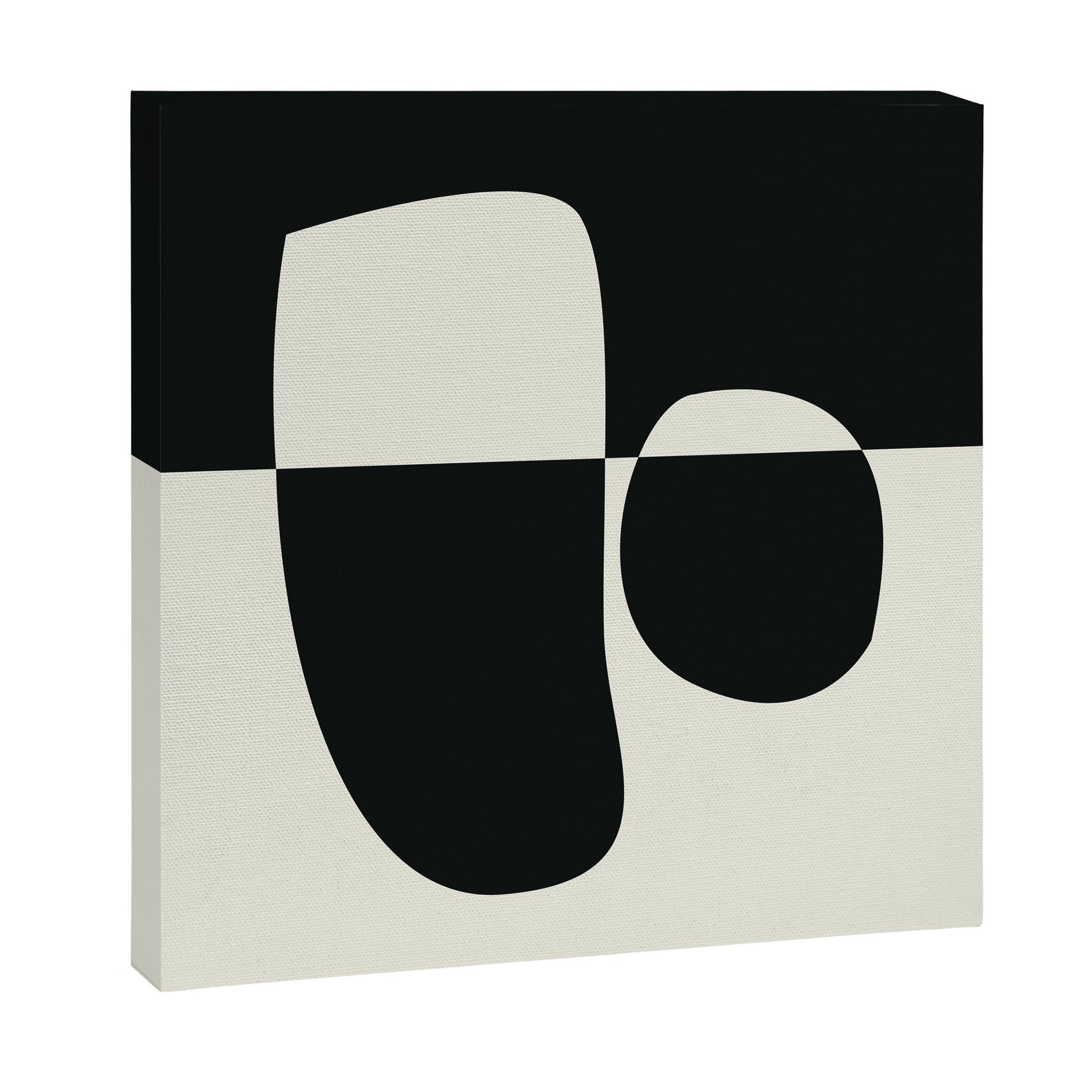 // Reverse 02 Canvas Print Gallery Image 6