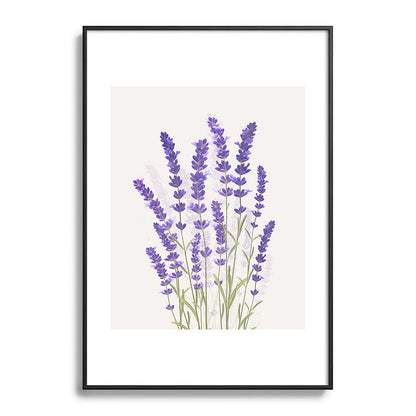 Lavender II Framed Art Print Gallery Image 83