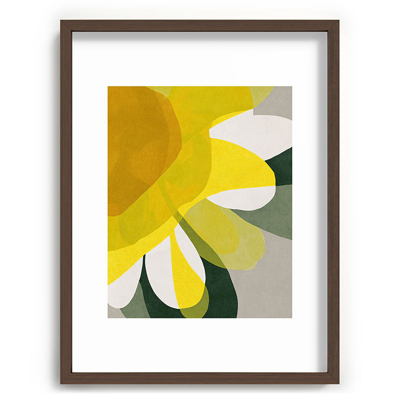 Petals in Full Light Framed Art Print Gallery Image 67