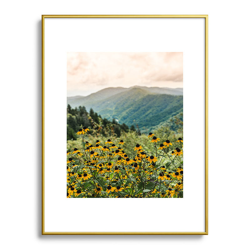 Smoky Mountains Wildflower Nature Photography Framed Art Print Gallery Image 91