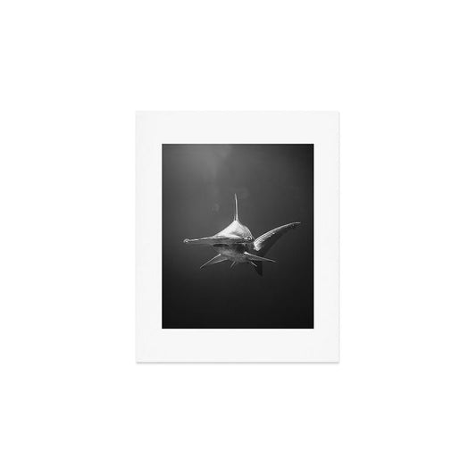 Hammerhead Shark (Black and White) Art Print Gallery Image 1