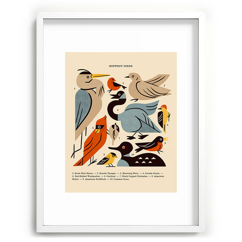 Midwest Birds Guide Framed Art Print Gallery Image 107