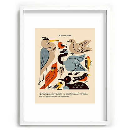 Midwest Birds Guide Framed Art Print Gallery Image 107