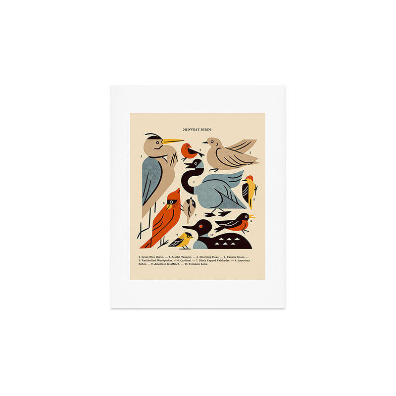 Midwest Birds Guide Art Print Gallery Image 4