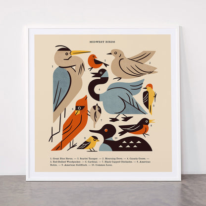 Midwest Birds Guide Framed Art Print Gallery Image 43