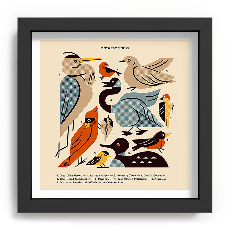 Midwest Birds Guide Framed Art Print Gallery Image 90