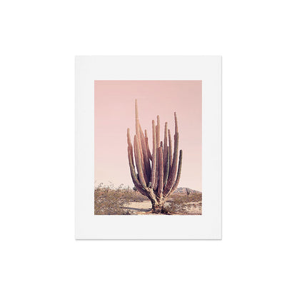 Blush Cactus Art Print Gallery Image 4