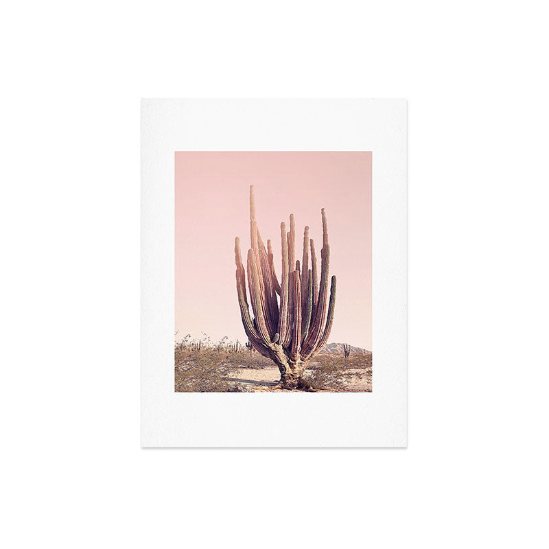 Blush Cactus Art Print Gallery Image 6