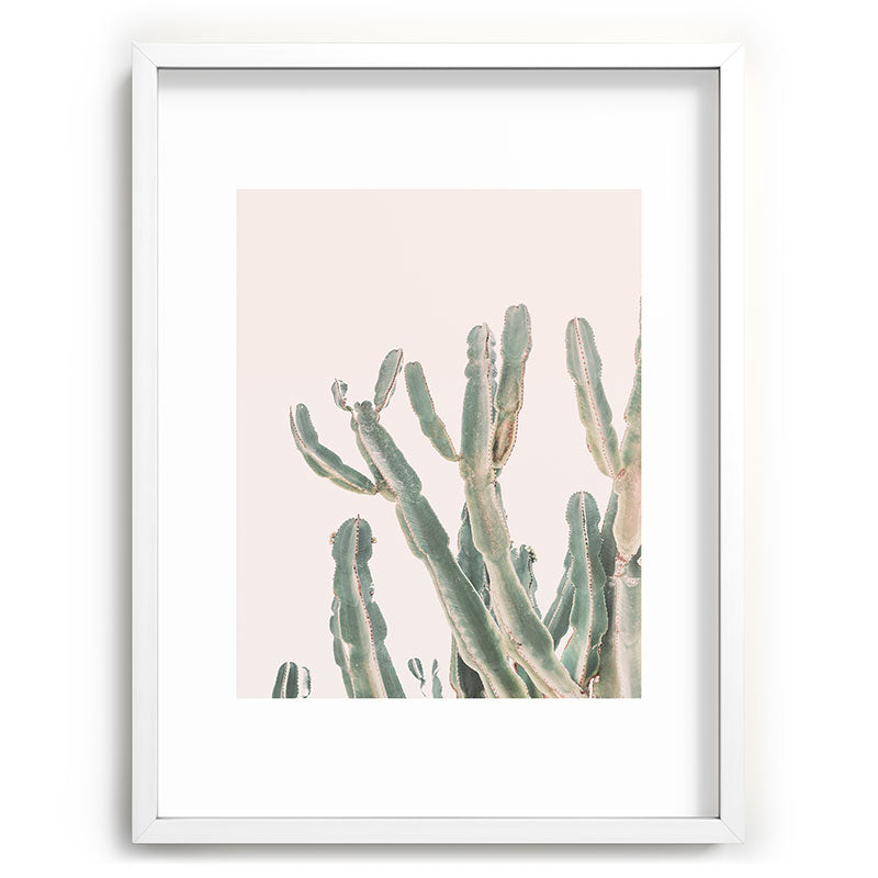 Sunrise Cactus Framed Art Print Gallery Image 79