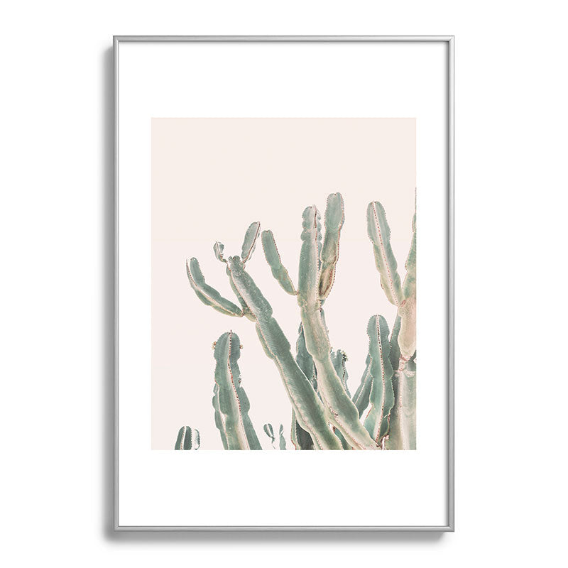 Sunrise Cactus Framed Art Print Gallery Image 97